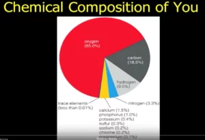 Image of a bar graph showing the chemical composition of humans - from The Origin Of The Elements presentation by Jefferson Lab
